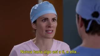 Arizona y Carina  SU HISTORIA PARTE 15  Greys Anatomy subtitulos español [upl. by Erline]