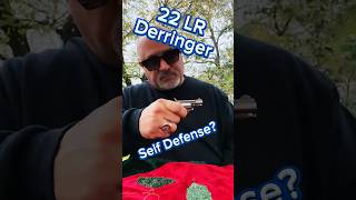 22 LR Derringer For Self Defense  North American Arms  Concealed Carry [upl. by Enram]