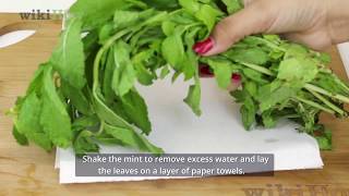 How to Keep Mint Leaves Fresh [upl. by Arta]