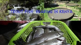 TROUT FARMING AND AQUAPONICS FARMING TECHNOLOGY [upl. by Eeresid]