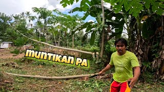 ANG DAMI NG GUMAGAWA NG BAHAY SA SOWEIRD VILLAGE SA PIÑAN MINDANAO [upl. by Weed]