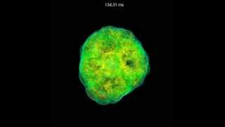 Hubble Observations of Supernova 1987A 19942006 [upl. by Farlie]