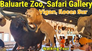 Baluarte Zoo Vigan Ilocos Sur Walking Tour BaguioBicol [upl. by Bennie246]