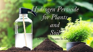 Hydrogen peroxide For Plants and Soil  How to Use Hydrogen Peroxide in Plants and Soil  DDID [upl. by Chev553]