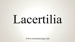 How To Pronounce Lacertilia [upl. by Brufsky390]