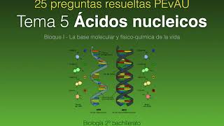 Preguntas resueltas PEvAU quotÁcidos nucleicosquot [upl. by Baker578]