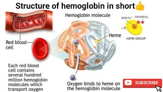 Structure of Hemoglobin in hindi [upl. by Nanda]