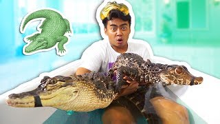 ALLIGATOR BATH CHALLENGE [upl. by Aneliram]