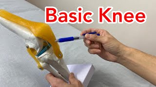 An Alternative to Knee Replacement The BioKnee® [upl. by Kanor]