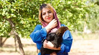 Cooking Baghali polo with chicken in the village  Iran rural life [upl. by Esined306]