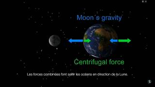 Phénomène des marées Skydric Education [upl. by Acirahs]