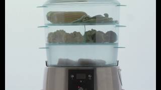 3Tier Satin Quartz Steamer 10969 [upl. by Ambur]