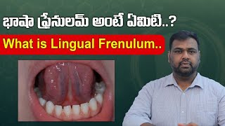 What is Lingual Frenulum  Oxy Dental [upl. by Ellevehc931]