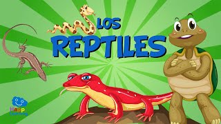 Los Reptiles  Vídeos Educativos para Niños [upl. by Niven]