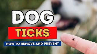 Dog Ticks How To Remove and Prevent [upl. by Sesom]