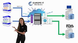 UDI data transfer to GUDID and EUDAMED [upl. by Atorod627]