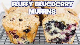 THE BEST Homemade Fresh Blueberry Muffins Recipe [upl. by Ajat200]