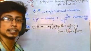 Antigen antibody reaction overview [upl. by Ynelram679]