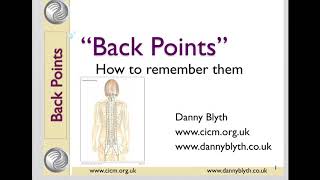 How To Remember and Locate Acupuncture Points On The Back [upl. by Clo845]