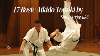 Demonstration 17 Basic by Satoh Tadayuki Shihan [upl. by Wehtta]