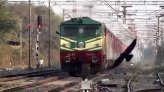 21 Hours Late Running 12431 TVC  NZM Rajdhani Express Rips Past Palghar [upl. by Raynah919]