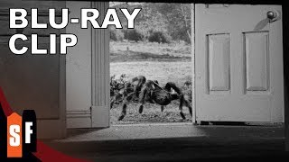 Tarantula 1955  Clip Tarantula Escapes HD [upl. by Adelbert]