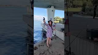 Pinjara Bridge Mandurah Western Auatralia fishing exploreshorts [upl. by Amitaf]