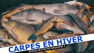 Pêche Carpe au Coup en hiver  trucs et astuces pour carpodrome [upl. by Kovacs258]