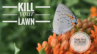 123 PSA  Kill Your Lawn w Silphium terebinthinaceum [upl. by Eceirtal708]