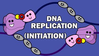 DNA REPLICATION 13  INITIATION [upl. by Yrekaz879]