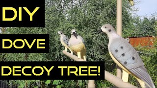 How to build a dove decoy tree [upl. by Robenia]