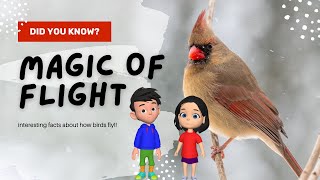 Want to Know the SECRET of Bird Flight Watch Now [upl. by Oinegue997]