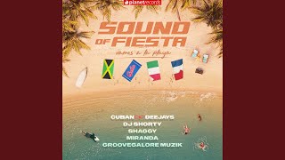 Sound Of Fiesta Vamos A La Playa feat Shaggy [upl. by Lilllie223]