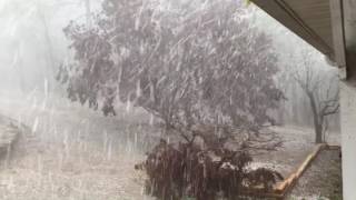 Experience an amazing hail storm in Springville Alabama [upl. by Yerkovich]