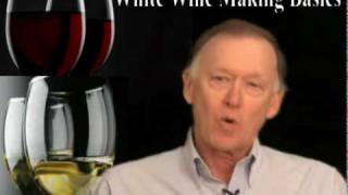 Basic White Wine Making [upl. by Travis]