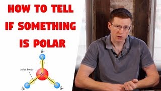 Polar Bonds and Molecules Dipole Moments [upl. by Henryetta]