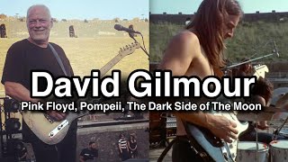 Famous Guitarists On David Gilmour [upl. by Nosde]