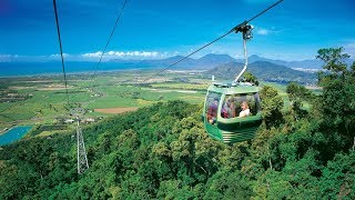 Skyrail Rainforest Cableway Day Trip from Cairns Australia [upl. by Iclek]