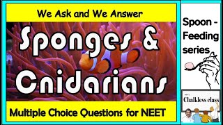 Sponges and Cnidarians in NCERT BIOLOGY [upl. by Ursal]