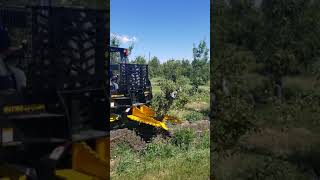 Danuser Intimidator Skid Steer Attachment [upl. by Norrie612]