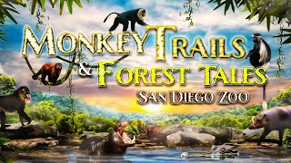 Zoo Tours The Monkey Trails amp Forest Tales  San Diego Zoo [upl. by Keare]