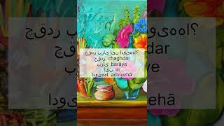 How do you say a sentence in Farsi 🇮🇷 Learn Farsi Fast [upl. by Nnyleuqaj626]