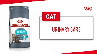 Urinary Care [upl. by Schecter]