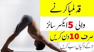 5 Easy Home Exercise For Increase Your Height  How To Increase Height After 18 [upl. by Zap]