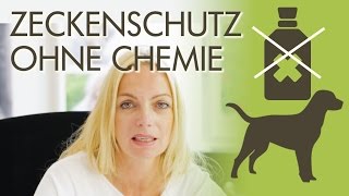 Zeckenschutz ohne Chemie  Welche Möglichkeiten gibt es [upl. by Enyawud]