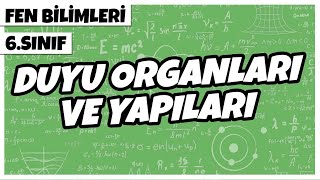 6 Sınıf Fen Bilimleri  Duyu Organları ve Yapıları  2022 [upl. by Idet201]