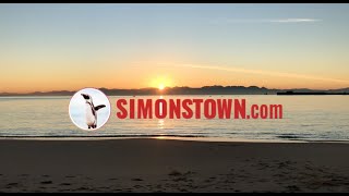 Welcome to Simons Town [upl. by Arol614]