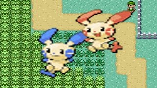 How to find Plusle and Minun in Pokemon Emerald [upl. by Anelaj]