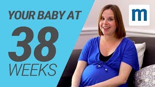 Your baby at 38 weeks  Pregnancy week by week [upl. by Yrffoeg]