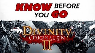 Know Before You Go Divinity Original Sin II [upl. by Akemehs]